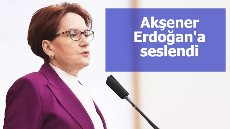 Meral Akşener, Cumhurbaşkanı Erdoğan'a seslendi: Sirk yönetmiyorsunuz, devlet yönetiyorsunuz